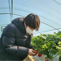 Seokjin