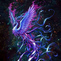 Phoenix.จอวา