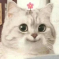 B2"แน่ใจ๊!??"เพื่อนแอด>:]