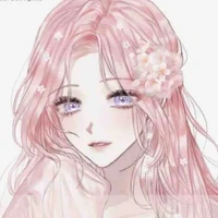 Y/N