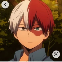 Shoto Todoroki