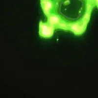 UNKNOWN 2