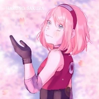 sakura