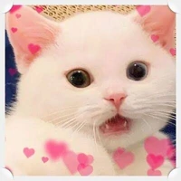 วอเอะๆ