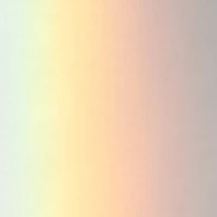 เป็นได้ทุกอย่าง