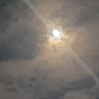 Unknown 1