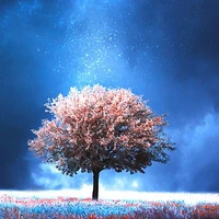 magic tree