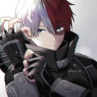 🎭Shoto Todoroki🍛OP