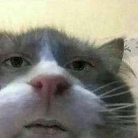 เเอดเองจ้าา~~