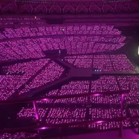 แฟนคลับdream come true