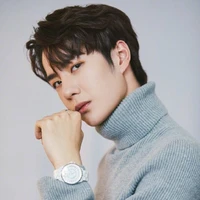 วี(พระเอก)