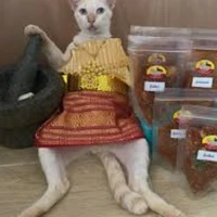 ลิงบาบูน