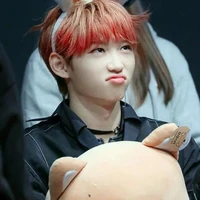 ichun Dvs(adik angkat non ahlak lisa)