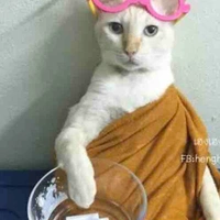 แอดเองง