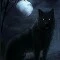 ML WOLF FORM