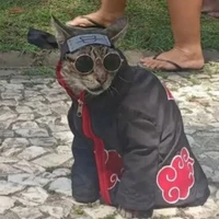 akatsuino