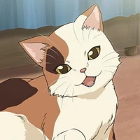 Milo (cat)