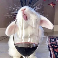 The author who needs hobi water