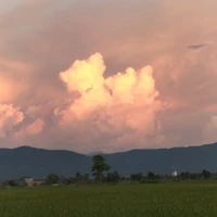 แอด