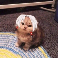 แอนเองคับ