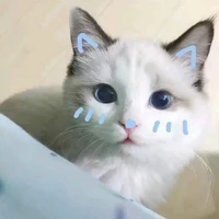เพื่อนนายเอกทั้ง2คน