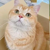 นายเอกและเพื่อน