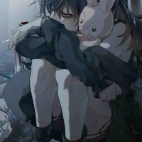 Y/N