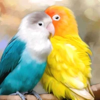 𝗗𝗼𝗿𝘆 & 𝗗𝗼𝗿𝗮