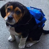 Lalito