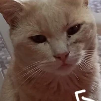 Edgar
