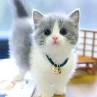 แอด (ผู้รู้สึกผิดกลับการแต่งเรื่องนี้)