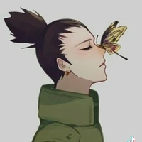 shikamaru(alfa)