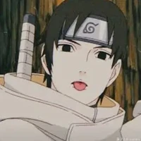 sai/alfa/