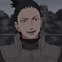 shikamaru (f. d)