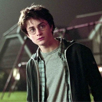 Harry ⚡️