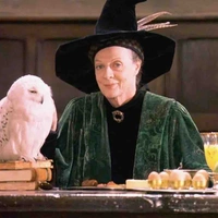 Professor. Mcgonagall