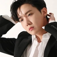 Jung Hoseok ( Hobi ) Kim Twins