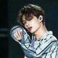 Wen Junhui