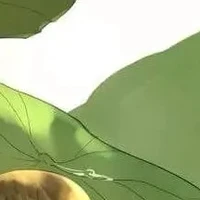 ???