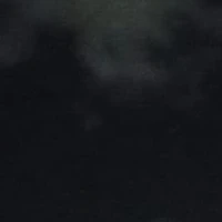 ¿?¿