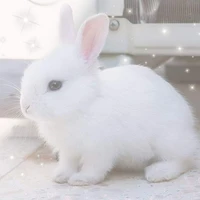 แอดดดดด