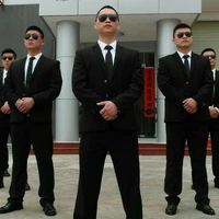 all bodyguard