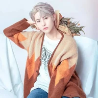 Huang Renjun(Injun🦊)