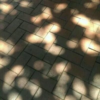 somebody