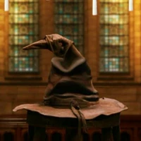 Chapéu seletor