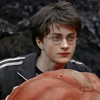 Harry