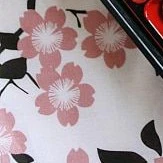ALL SAKAMAKI (CHILDREN)