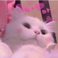 เเอดงับอุนจิ😼