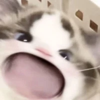 เเอดเองน้าบอุนเตอ