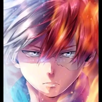 shoto todoroki(o.p)